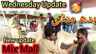 Wednesday Update| Shahpur Kanjra Mandi| Lahore Mandi| Live Deal| Makhi Chine Bakre| Desi  Bakre| Mix