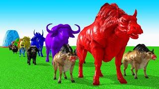 Paint Animals Cow Cartoon,Buffalo,Bull,yak,Ox,Fountain Crossing Animal Game