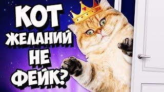 КАК ВЫЗВАТЬ КОТА ЖЕЛАНИЙ ЧТОБЫ ОН ПРИШЕЛ