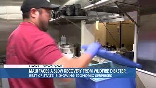 New report explores Maui’s struggling economy after wildfires