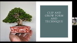 GSBF Golden Zoom Presents Mike Lane discussing Clip and Grow for developing bonsai.