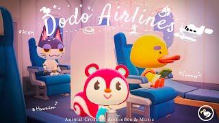 ACNH BGM - DoDo AirLines️ Cozy Tropical Island️Hawaiian Lo-fi  music playlist +  waves ambient 4h