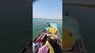 Sundarban River Boating Tour Sundarban National Park @Kartikbiswasvlogs