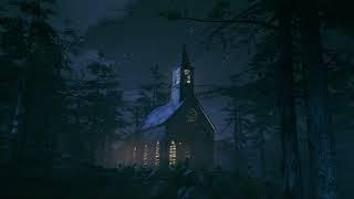 Forest Night
