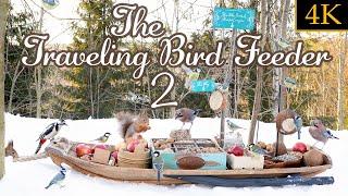 The Traveling Bird Feeder 2 - Relax With Squirrels & Birds (4K, 1 Hour)