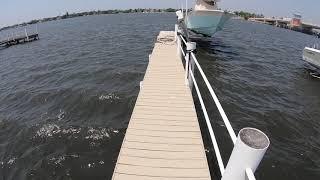 GIANT IGUANA ON HYPOLUXO ISLAND DOCK! ...YO!