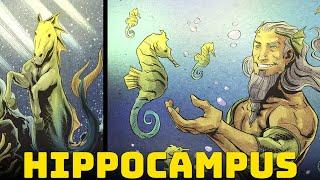 Hippocampus - The Incredible Sea Horses of Greek Mythology