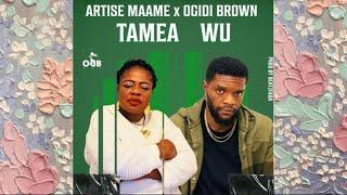 ARTISE MAAME FT OGIDI BROWN - TAMEA WU OFFICIAL MUSIC VIDEO