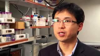Dye Sensitized Solar Cells for Economically Viable Photovoltaic Systems
