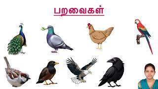 பறவைகளின் பெயர்கள்— ￼ Parvaiyin peyargal - birds name in Tamil