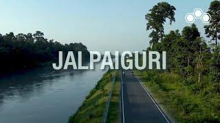 Turtle Jalpaiguri, West Bengal | Store Tour