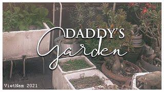 Daddy’s Garden