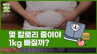 [Why요?] 몇 칼로리 줄여야 1㎏ 빠질까?