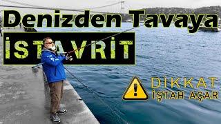 ÇAPARİ İLE EFSANE İSTAVRİT AVI / OLTALAR TESPİH GİBİ DOLDU