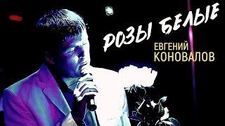 РОЗЫ БЕЛЫЕ - (ХИТ 100%) Евгений КОНОВАЛОВ