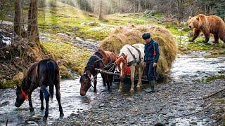 The Last Guardians of the Mountains: Three Generations, One Legacy | | Documentary Film