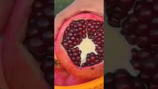 Pomegranate #satisfying #fruitcutting #amazing #pomegranate #fruit #shorts #fyp #viralvideo #wow