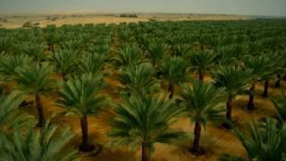 Mehadrin Film