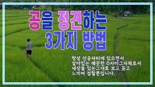 [정견특강] #19. 공을 정견하는 3가지 방법