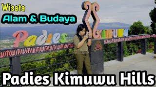 Padies Kimuwu Warembungan | perpaduan wisata alam dan budaya | Wisata Sulawesi Utara