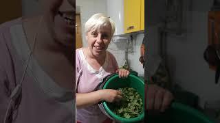 Была в лесу, заготовила сырьё для чая - листья малины и земляники
