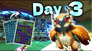 These OWL DIVES need to be STOPPED | Day 3 | Mesa Ark 6 Man | Unofficial PVP