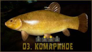 РР4 Фарм и Точка клёва - Комариное - Трофей Густера, Линь, Язь, Ротан, Карась - Русская Рыбалка 4