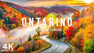 Autumn in Ontario, Canada 4K Ultra HD | Stunning Footage Ontario, Scenic Relaxation Film - VIDEO 4K