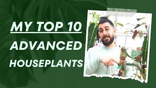  Challenge Accepted: Top 10 Advanced houseplants! 