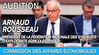 Arnaud Rousseau, président de la FNSEA, est auditionné par la commission des affaires économique