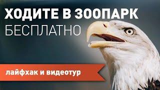 Как БЕСПЛАТНО ходить в LA ZOO