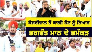 Exclusive Report- AAP Workers full Support to Bhagwant Mann | Punjabi News Corner