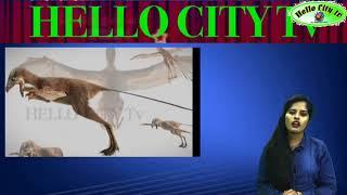 புதிய வகை டைனோசர் | New researched dinosaur | HELLO CITY. TV