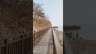 대한민국 강화도 황산도 해안 산책로에 왔어요 I came to the coastal promenade of Hwangsan-do, Ganghwa-do, South Korea.