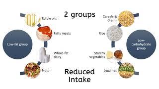 Low Fat vs Low Carb Diet: Which is More Effective for Weight Loss?
