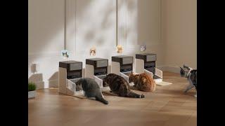 Introducing the NEW One RFID Pet Feeder for multi-pet families!