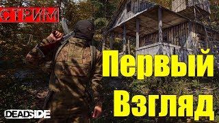 DEADSIDE в предстартовым билде (Цена, дата выхода и ссылка в описании)