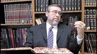 DAF YOMI AVODAH ZARA 02 Rabbi Daniel Korobkin 2018 01 17 koshertube