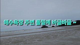 첫 가을낙지 탐사 해루질 다녀왔습니다   #해루질 #낙지 #대박해루질 #해삼