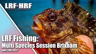 LRF Fishing: Multi Species Session at Brixham