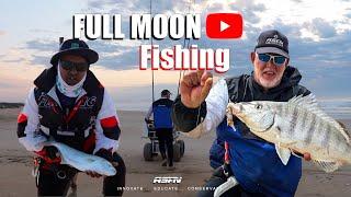 Catching shad and a white Steenbras on the full moon | Surf Fishing South Africa