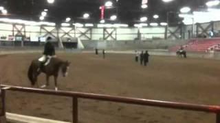Elle~Hunter Under Saddle