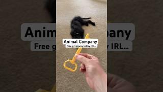 What should i give her next??  #animalcompany #gorillatag #animalcompanyvr #vr