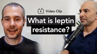 What is leptin resistance? | Peter Attia, M.D. & Stephan Guyenet, Ph.D.