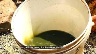 Empowering Farmers with Agroecology: Insights from CSHEP & CGIAR