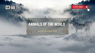 ANIMAL PLANET 4K ULTRA HD  DRONE NATURE VIEW AZ EXPLORATIVE