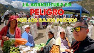 LA CRUDA REALIDAD DE LOS AGRICULTORES , PAUTE - AZUAY  I  GEO LEMA