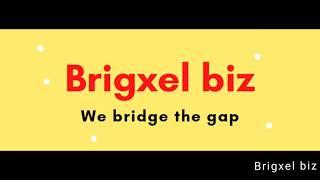 Brigxel biz