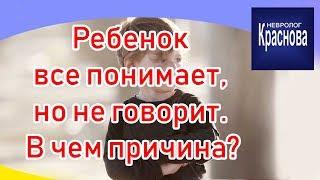 Ребенок все понимает, но не говорит В чем причина? Задержка речевого развития Доктор Краснова.