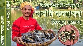 কই মাছের নার্সারি ব্যবস্থাপনা ও ভাল পোনা উৎপাদন, Koi nursery management  #Balaram_Mahalder